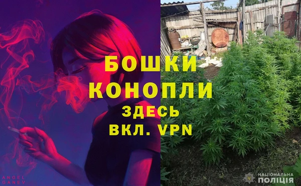 стаф Красноперекопск
