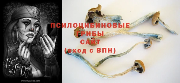 стаф Красноперекопск