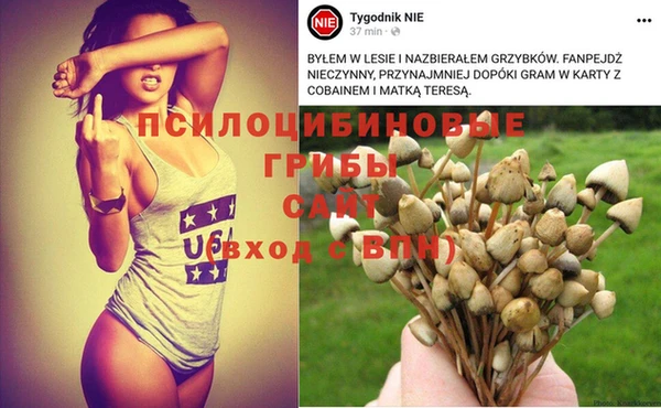 mdma Краснослободск
