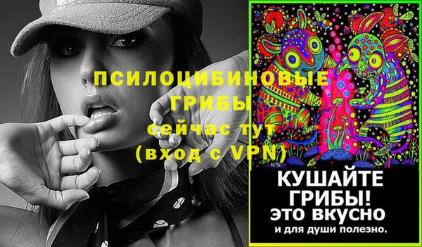 mdma Краснослободск
