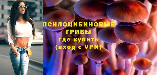 mdma Краснослободск