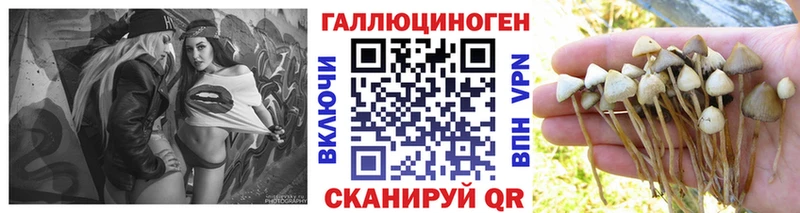 Галлюциногенные грибы ЛСД  Купить  Сельцо 